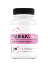 Fix Sulfa (Sulfamethoxazole / Trimethoprim) 160mg Capsules - 60 Count Bottles