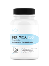 Fix Mox (Amoxicillin) - 250mg & 500mg Capsules - 30 & 100 Count Bottles