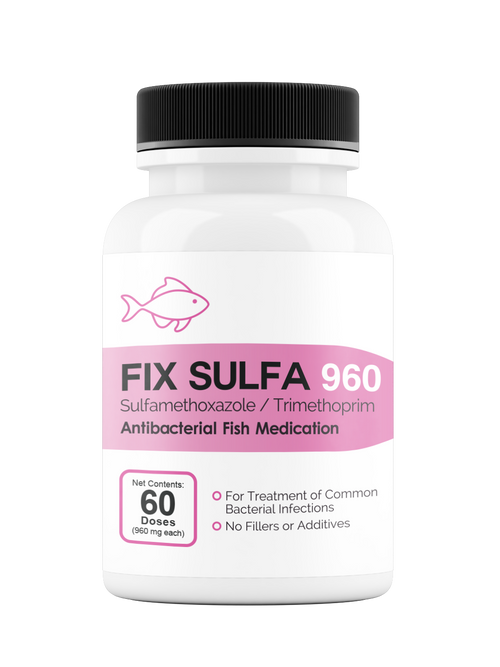 Fix Sulfa (Sulfamethoxazole / Trimethoprim)